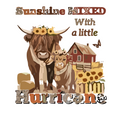 Amusing Print 'Sunshine Mixed with Hurricane'(Choose your Garment Separately)